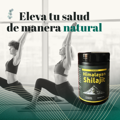 gomas de shilajit para energía